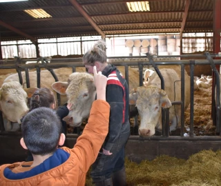 Nouvelle édition des fermes ouvertes : une matinée au Gaec du Clos Vaillant  