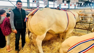 Une belle Fête du bœuf quand même à Créancey (21)