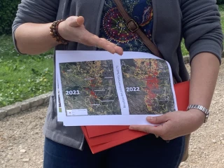 Un nouvel arrêté flavescence dorée dans les tuyaux  