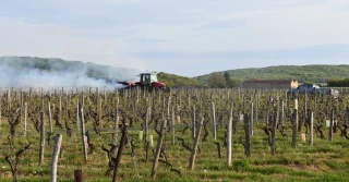 On a testé la chaudière mobile à biomasse pour la protection des vignes 