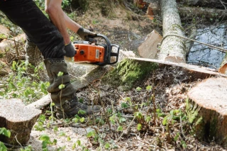 Les élèves du l'EPLEFPA de la nature et de la forêt en action. Crédit Lycée de Velet.