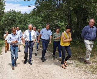 Quelles actions pour diminuer le risque d’incendies dans les forêts ?