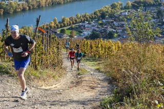 Comment les vignobles deviennent le terrain de jeux des runners ?