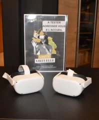 Un vignoble en 3D.