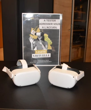 Un vignoble en 3D.