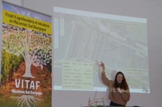 Vitaf cherche à se ramifier en Bourgogne !