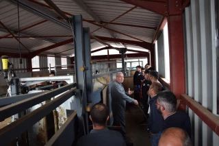 Pour manipuler les bovins le plus sereinement possible
