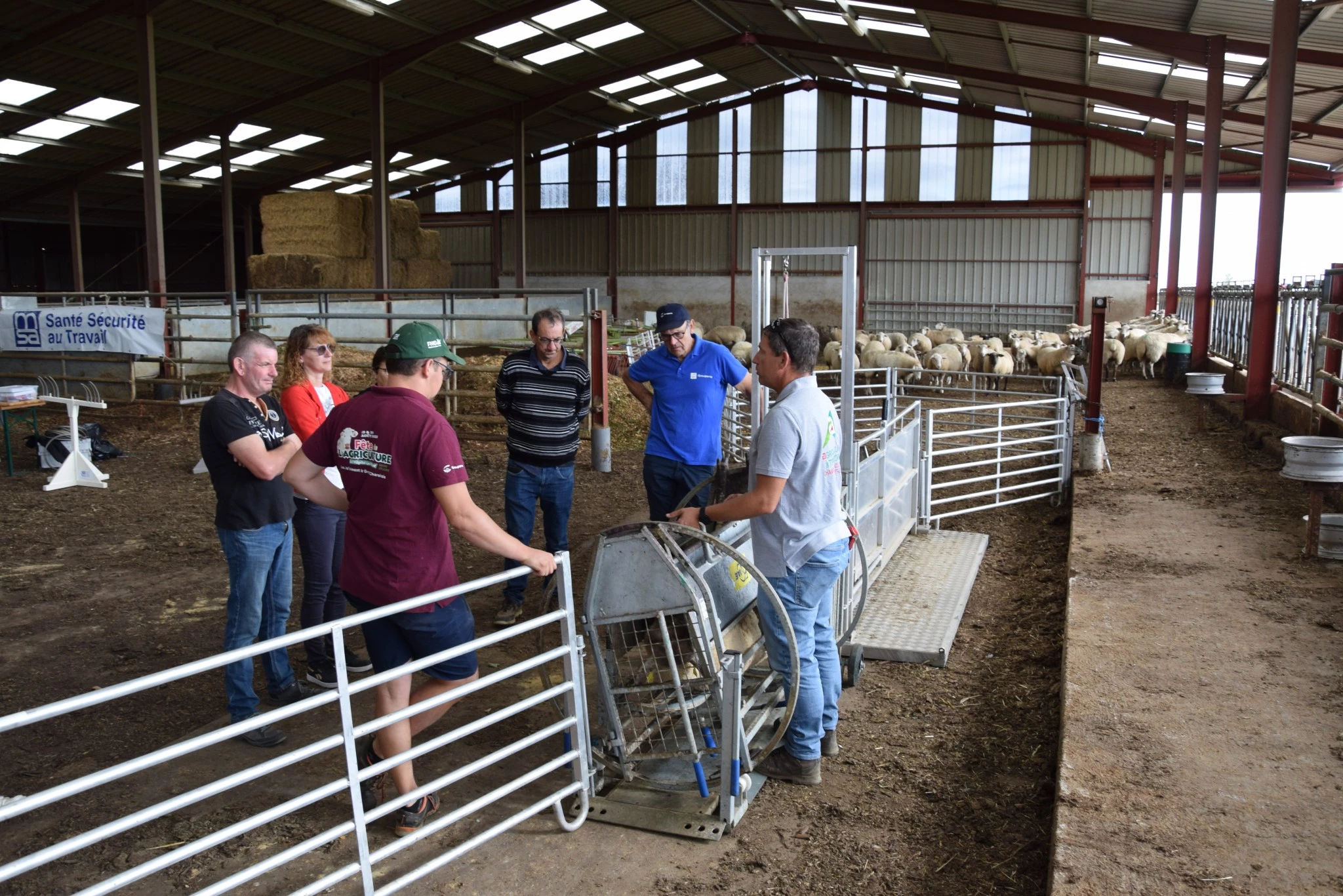 Un parc de contention mobile pour les ovins