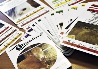 Des méthodes alternatives pour prendre soin de son troupeau