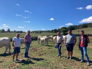 160 reproducteurs commercialisés lors des portes ouvertes Sicarev Coop