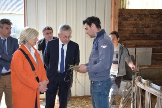 Trois exploitations du Charolais visitées par le Préfet et une réunion d'urgence sur le loup