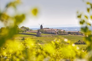 100 ans de plénitude