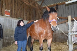 Florence Vantard vit de merveilleux moments avec ses comtois !