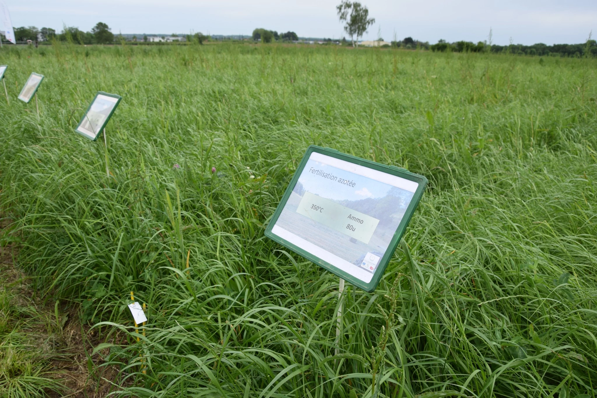 La fertilisation des prairies étudiée de prêt