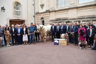 La Saône-et-Loire célèbre l'excellence agricole au Salon International de l'Agriculture 2024