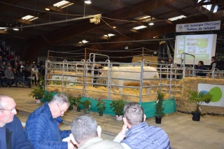 Encore une très belle vente pour la station de Jalogny ! 