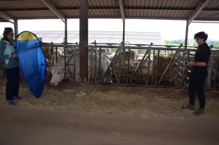 Des élevages viande se sont engagés à réduire leur empreinte carbone 