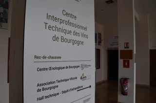 Face aux canicules récurrentes et à la réduction des phytosanitaires, le Comité Bourgogne (ex-BIVB) lance deux programmes structurants — Parsada et Cap-2050 — cofinancés par l’État et FranceAgriMer, pour près de 700 000 €, afin de sécuriser compétitivité et durabilité du vignoble à l’horizon 2050.
