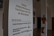 Face aux canicules récurrentes et à la réduction des phytosanitaires, le Comité Bourgogne (ex-BIVB) lance deux programmes structurants — Parsada et Cap-2050 — cofinancés par l’État et FranceAgriMer, pour près de 700 000 €, afin de sécuriser compétitivité et durabilité du vignoble à l’horizon 2050.