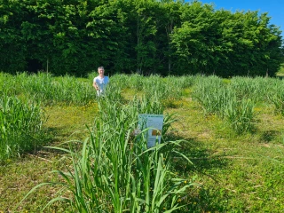 Diverti’Parc fête ses 25 ans : un été plein de pep’s au royaume du jeu nature