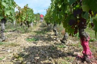 Bilan 2024 : des chiffres qui parlent