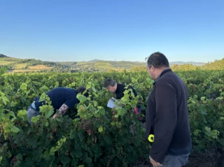 Le Beaujolais se mobilise (aussi)