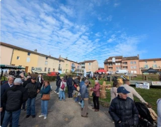 foire de la saint-martin cluny DNC