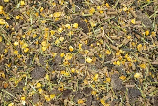 Des mashs sans fines