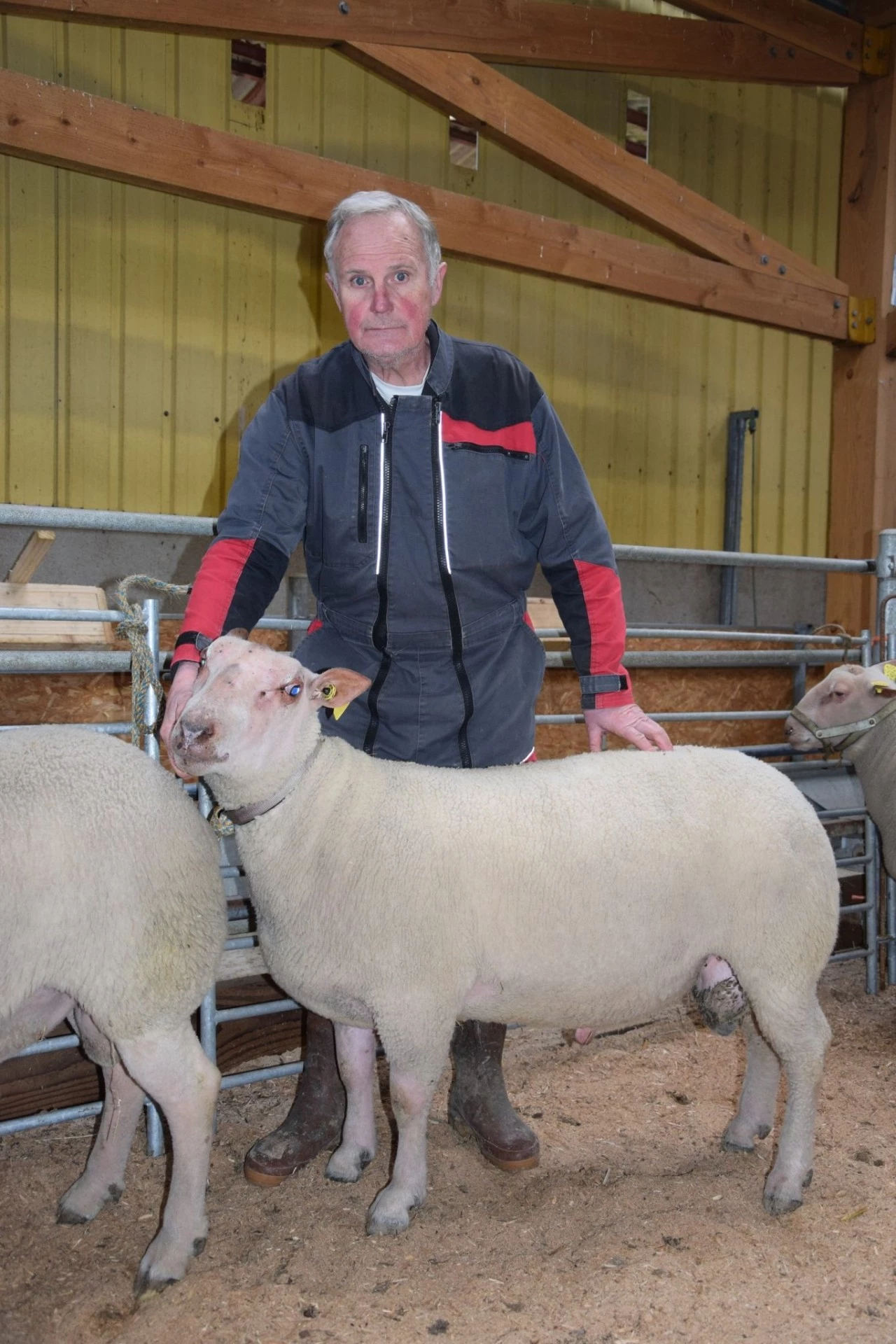 Hervé Garnier à Chenôves : « incontournable pour voir comment son élevage progresse »