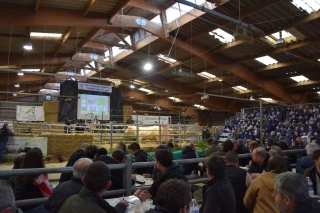 Gros succès pour le GIE Synergie Charolais - Station de Jalogny !