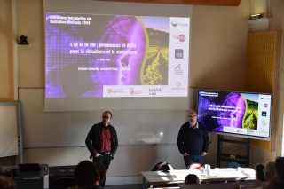 Demain, des vins certifiés « 100 % IA ou sans IA » ?