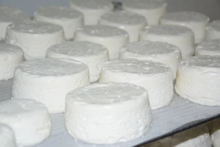fromage de chèvres frais en fromagerie