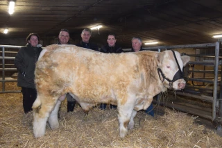 Charolais Evaluation 71 : un Volcan en Sâone-et-Loire !