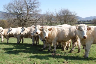 <B>Exonération des plus-values acquise !</B>