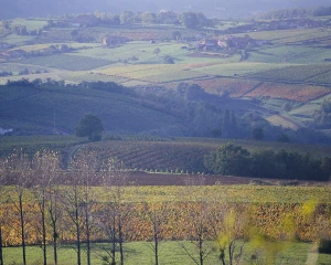L'Union viticole ne lâche rien