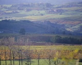 L'Union viticole ne lâche rien