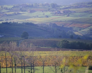 L'Union viticole ne lâche rien