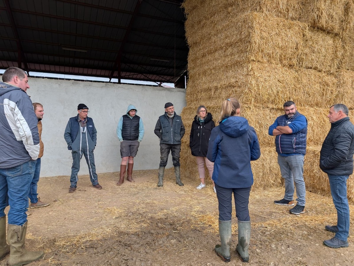Colère dans les campagnes