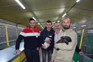 Le lapin fait vivre 4 associés et 4 salariés !