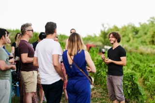 Communication positive : la nouvelle force de nos vignobles