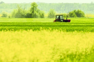 Contrat de solutions : l’âge de raison 