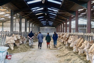 Réflexion scientifique sur l’abattage sélectif