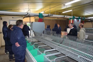 La filière lapins recrute !