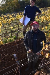 Comprendre le sol avant de décider