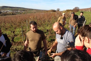 Les sols du vignoble auscultés
