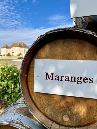 La Saint-Vincent Tournante fait son grand retour dans les Maranges