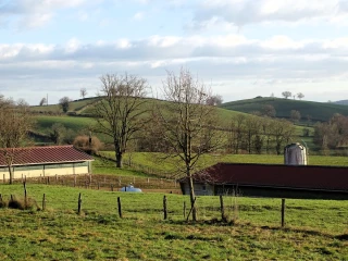 Une filière en quête de renouvellement