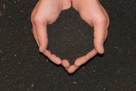 Le cri d’alarme des céréaliers