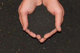 Le cri d’alarme des céréaliers