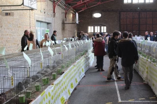 Le rendez-vous des aviculteurs et cuniculteurs